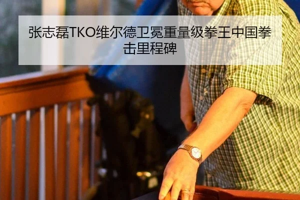 张志磊TKO维尔德卫冕重量级拳王中国拳击里程碑